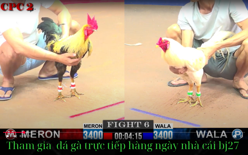 BJ27 cộng đồng yêu thích đá gà trên mạng xã hội